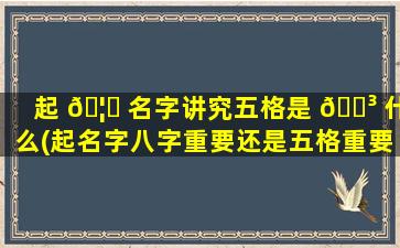 起 🦅 名字讲究五格是 🐳 什么(起名字八字重要还是五格重要)